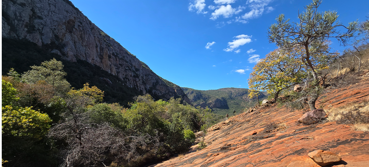 Diverse ecosystems encountered on the Old Salt Trail