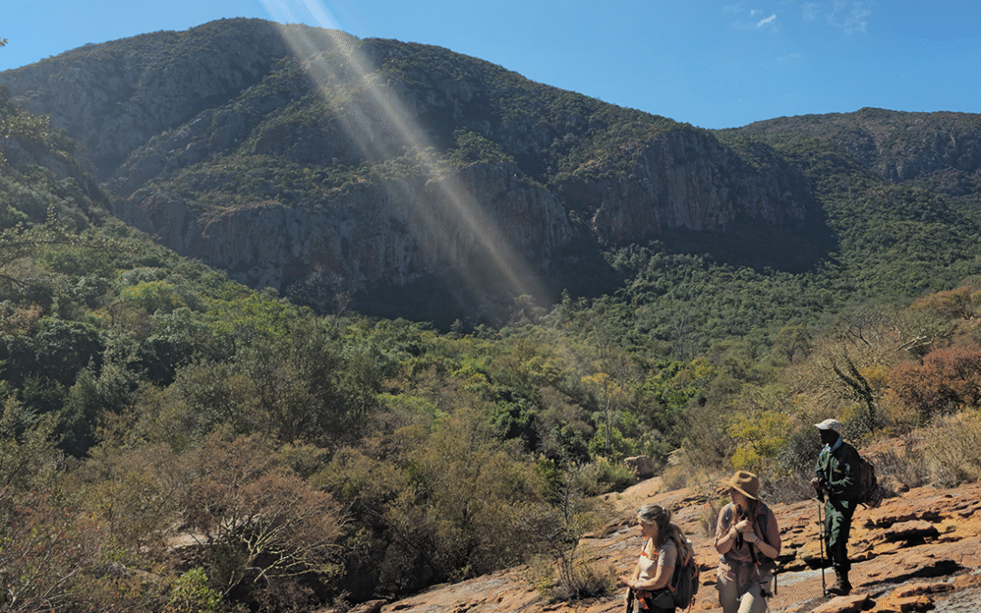 Old Salt Trail Soutpansberg: Experience Nature and Biodiversity