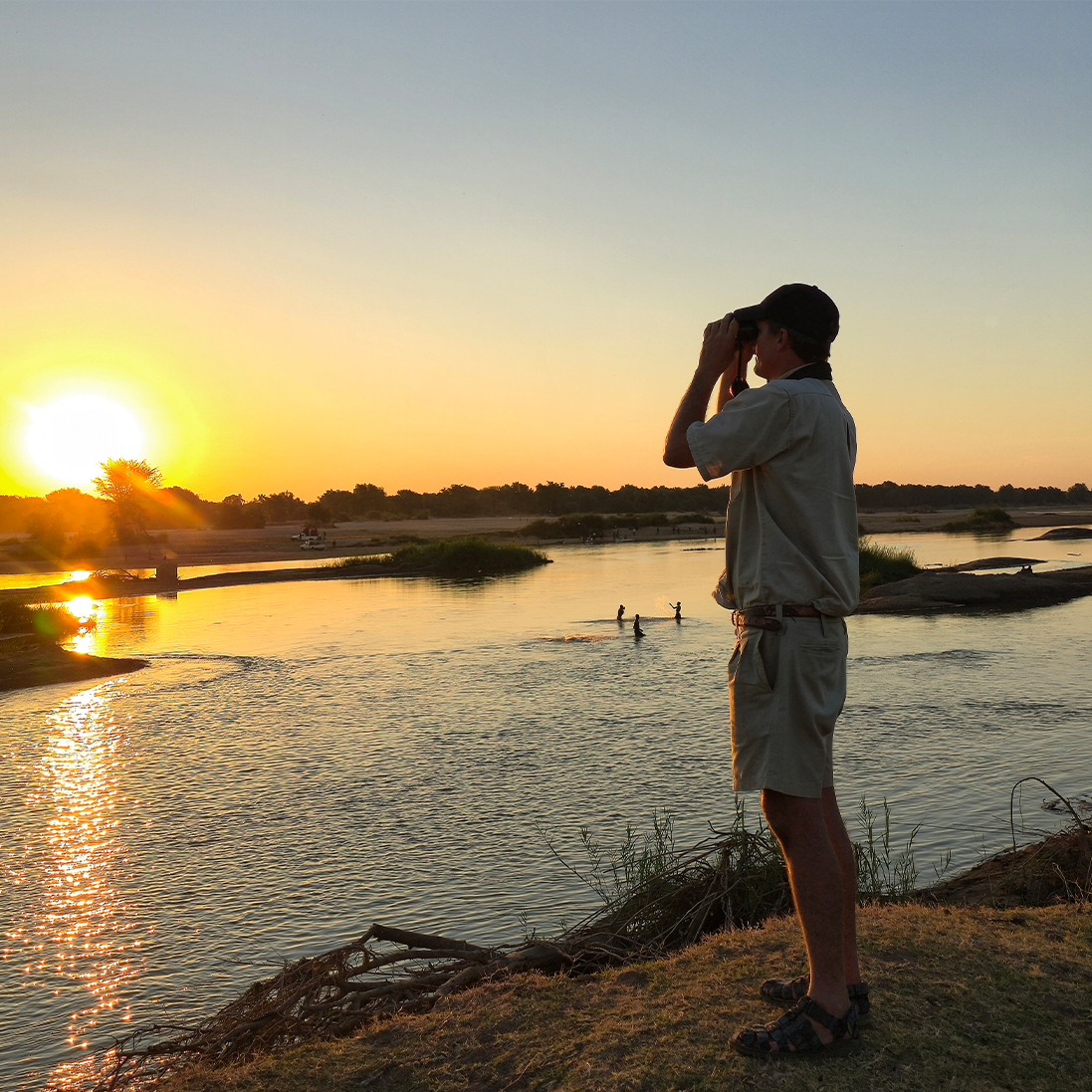 BioBlitz Mozambique National Parks: Baseline Biodiversity Data