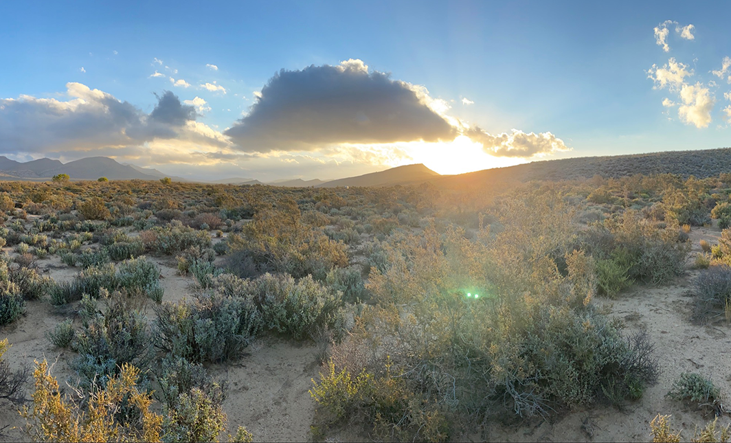 African drylands landscape — ecosystems preserved for future generations through legacy giving and bequests to the Endangered Wildlife Trust