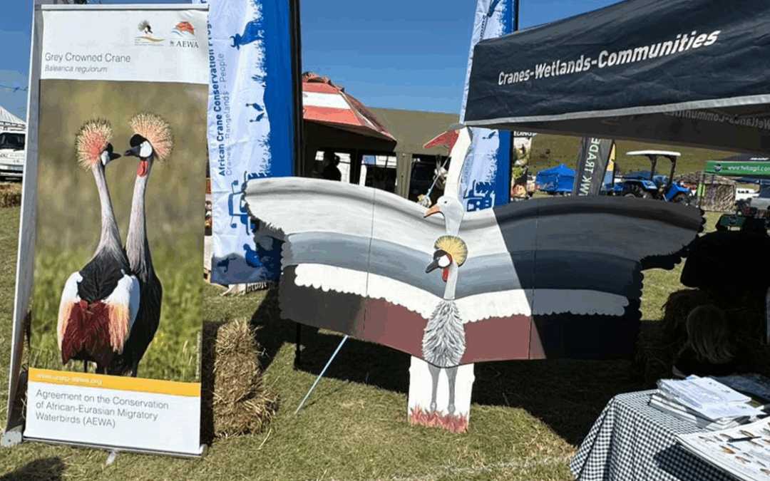 Making our mark at the Underberg Agricultural Show