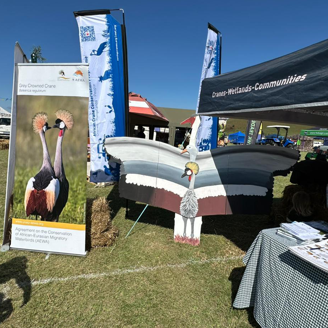 Making our mark at the Underberg Agricultural Show