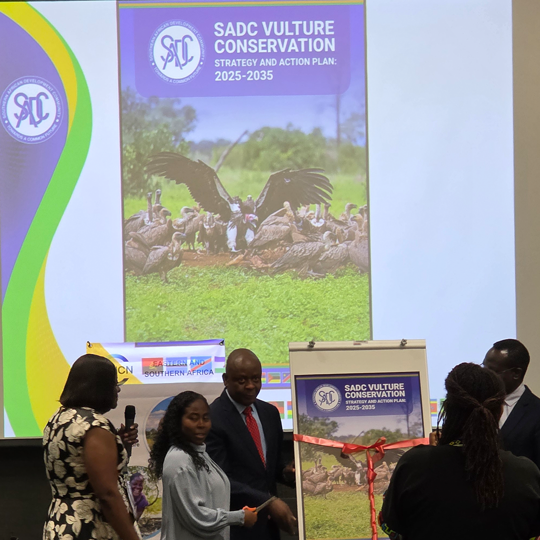 Launch of the SADC Vulture Conservation Strategy & Action Plan (2025-2035): A Regional Breakthrough for Scavenger Birds