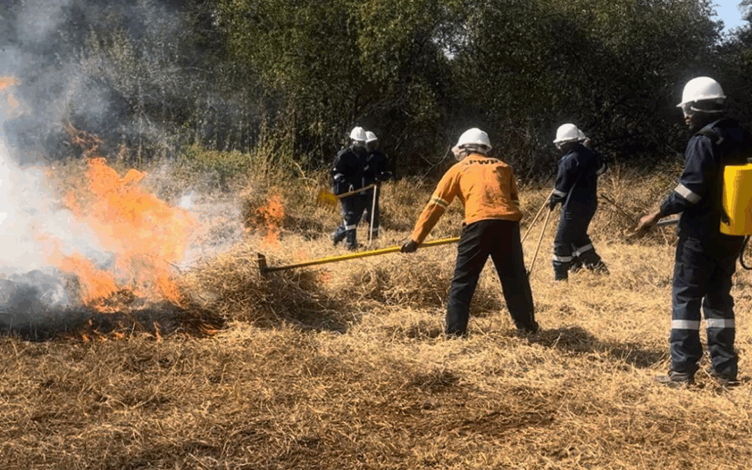 EWT builds land and human resource management capacity in the Soutpansberg