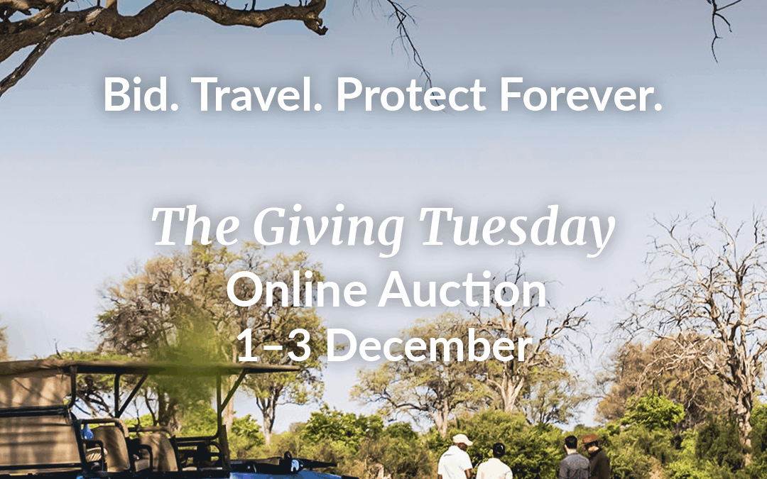 Join the EWT’s Giving Tuesday Online Auction