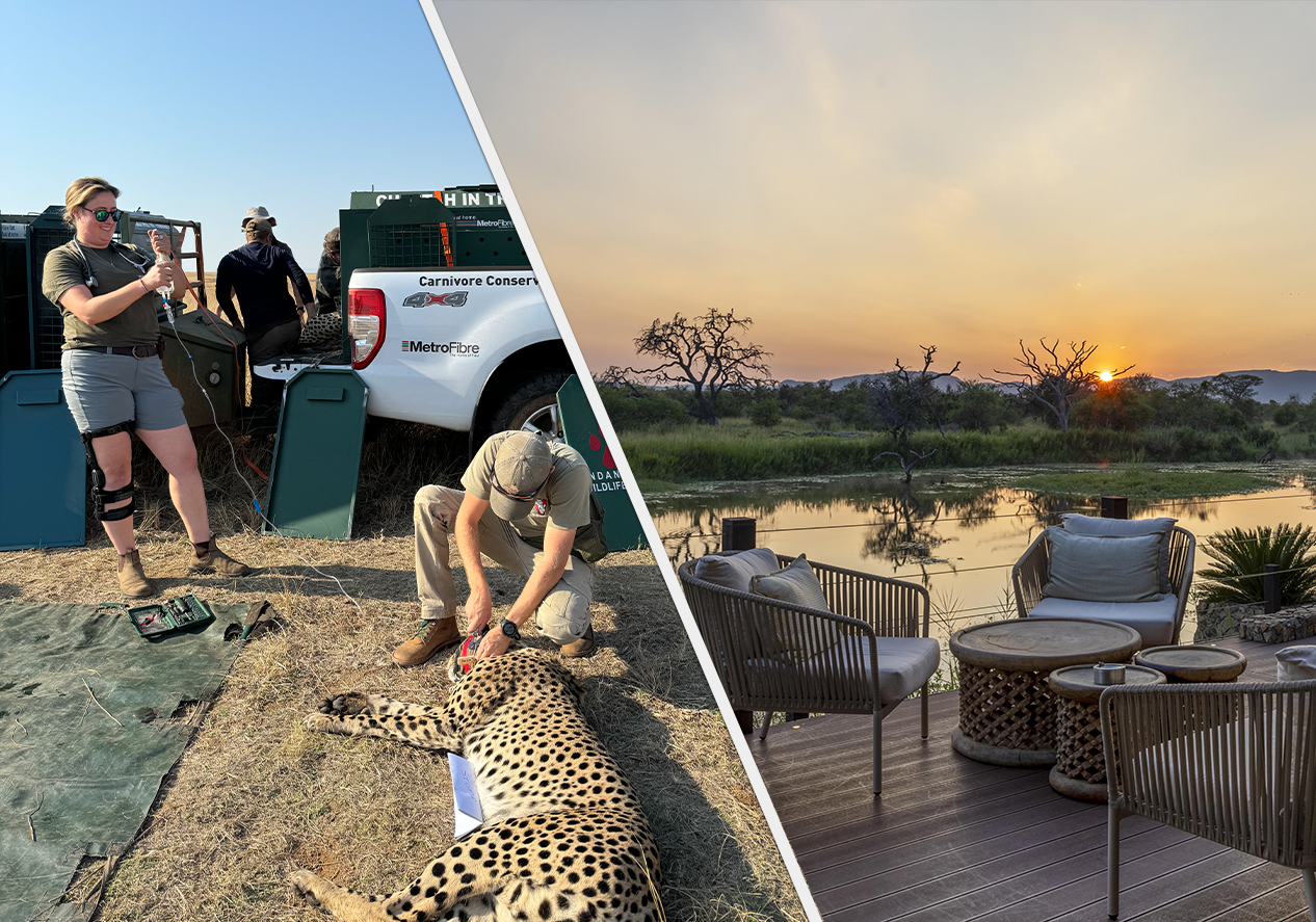 Guests observing wildlife during a guided conservation experience<br />
