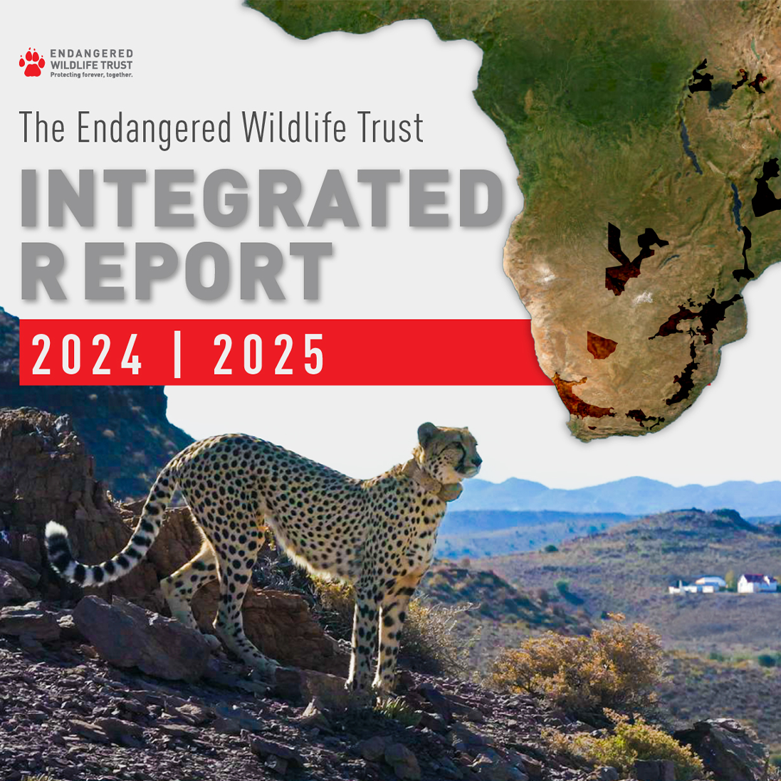 2024/25 Integrated Report:  Saving species, saving lives – a year of empowerment, collaboration and expansion