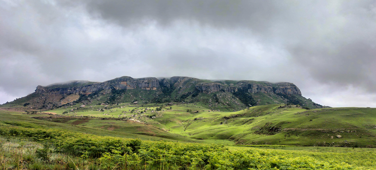 Restored savanna landscape supporting biodiversity and livelihoods