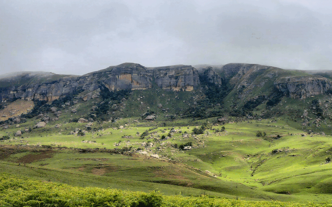 ReLISA: Restoring South Africa’s Landscapes for Climate, Biodiversity and People