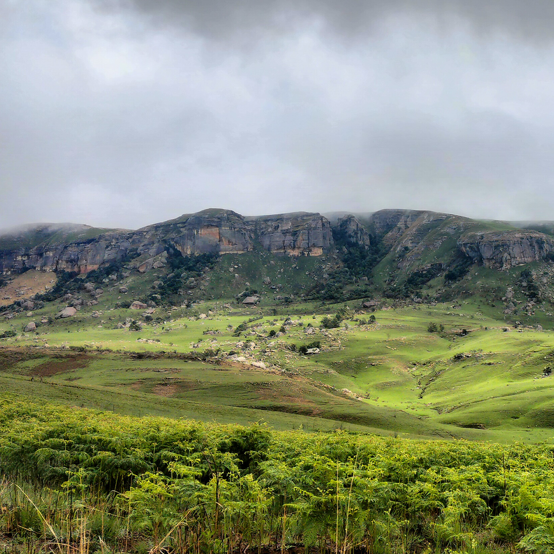 ReLISA: Restoring South Africa’s Landscapes for Climate, Biodiversity and People