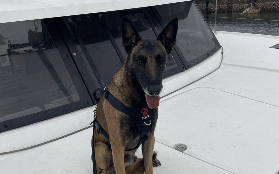 Searching ships for contraband