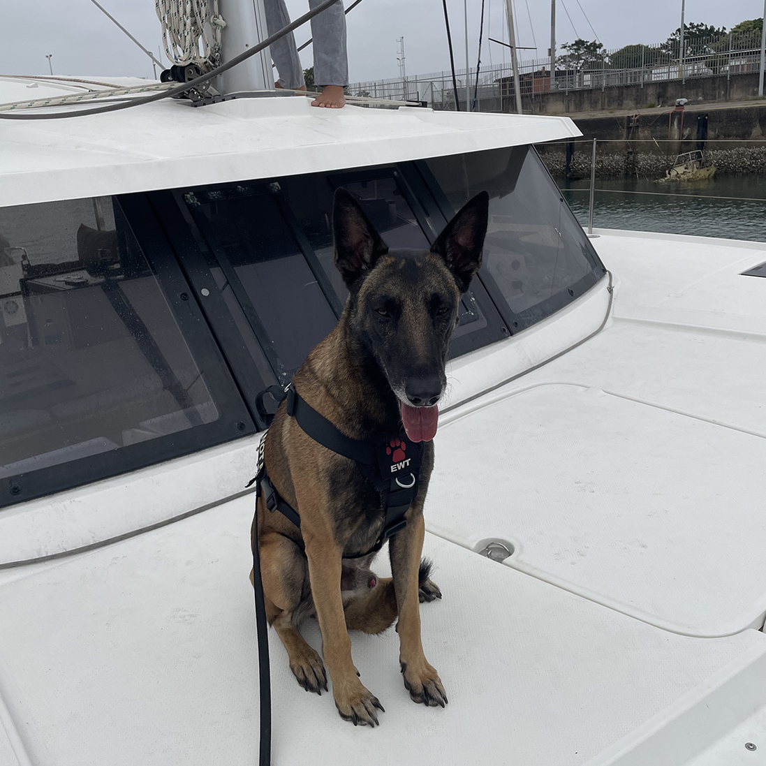 Searching ships for contraband