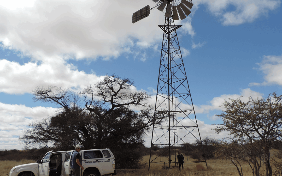 Challenged by Dunes, Gates and Antbear Holes in the Kalahari: August 2020