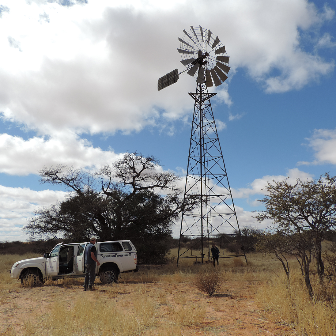 Challenged by Dunes, Gates and Antbear Holes in the Kalahari: August 2020