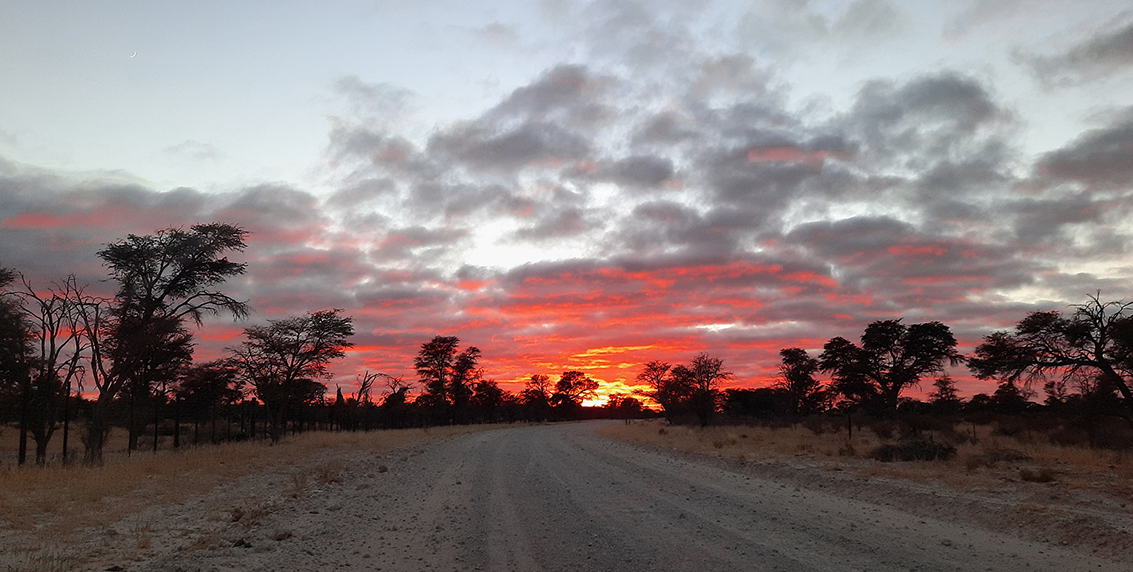 Kalahari fieldwork with EWT team