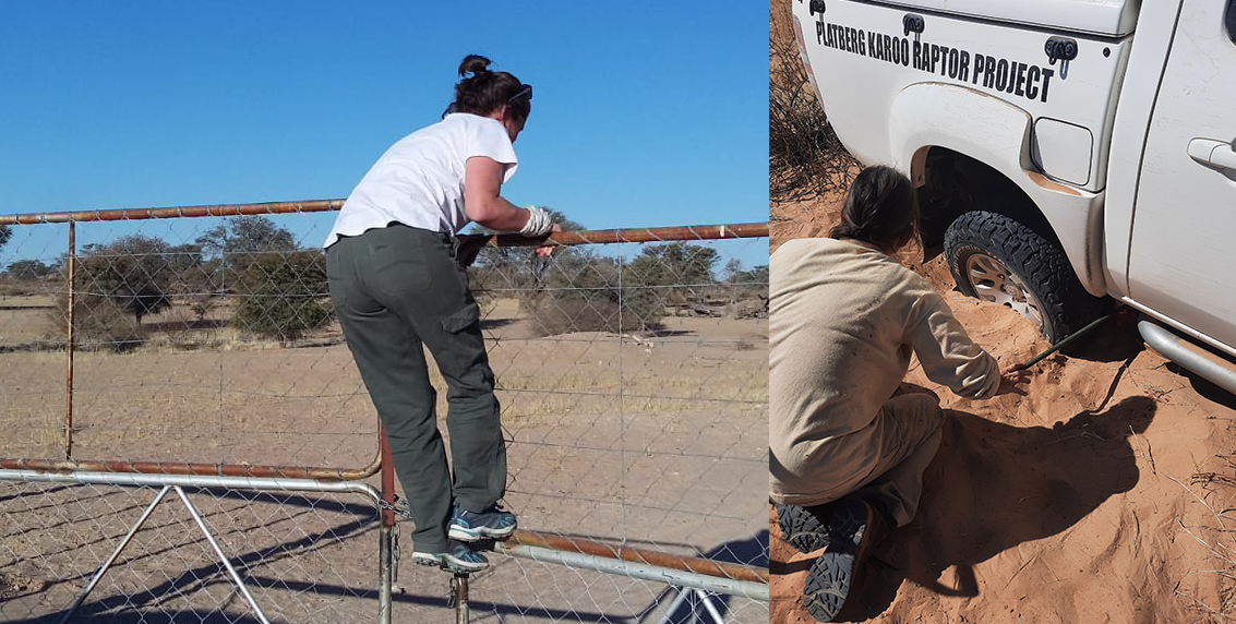 vehicle stuck in Kalahari antbear hole