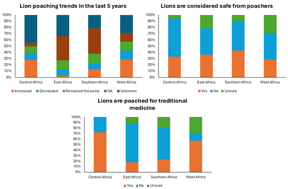 conservation team monitoring lions in Africa