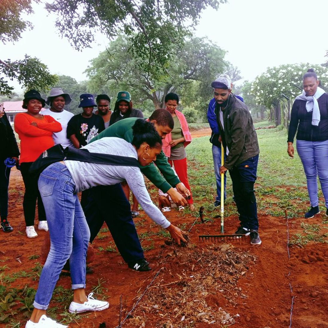 Cultivating a Greener Future Through Sustainable, Conservation-Compatible Agriculture