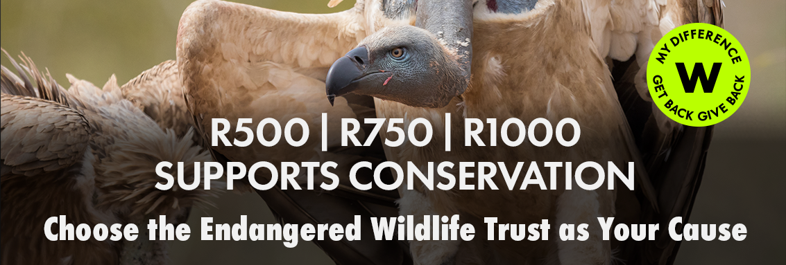 MySchool Card donation at retail store