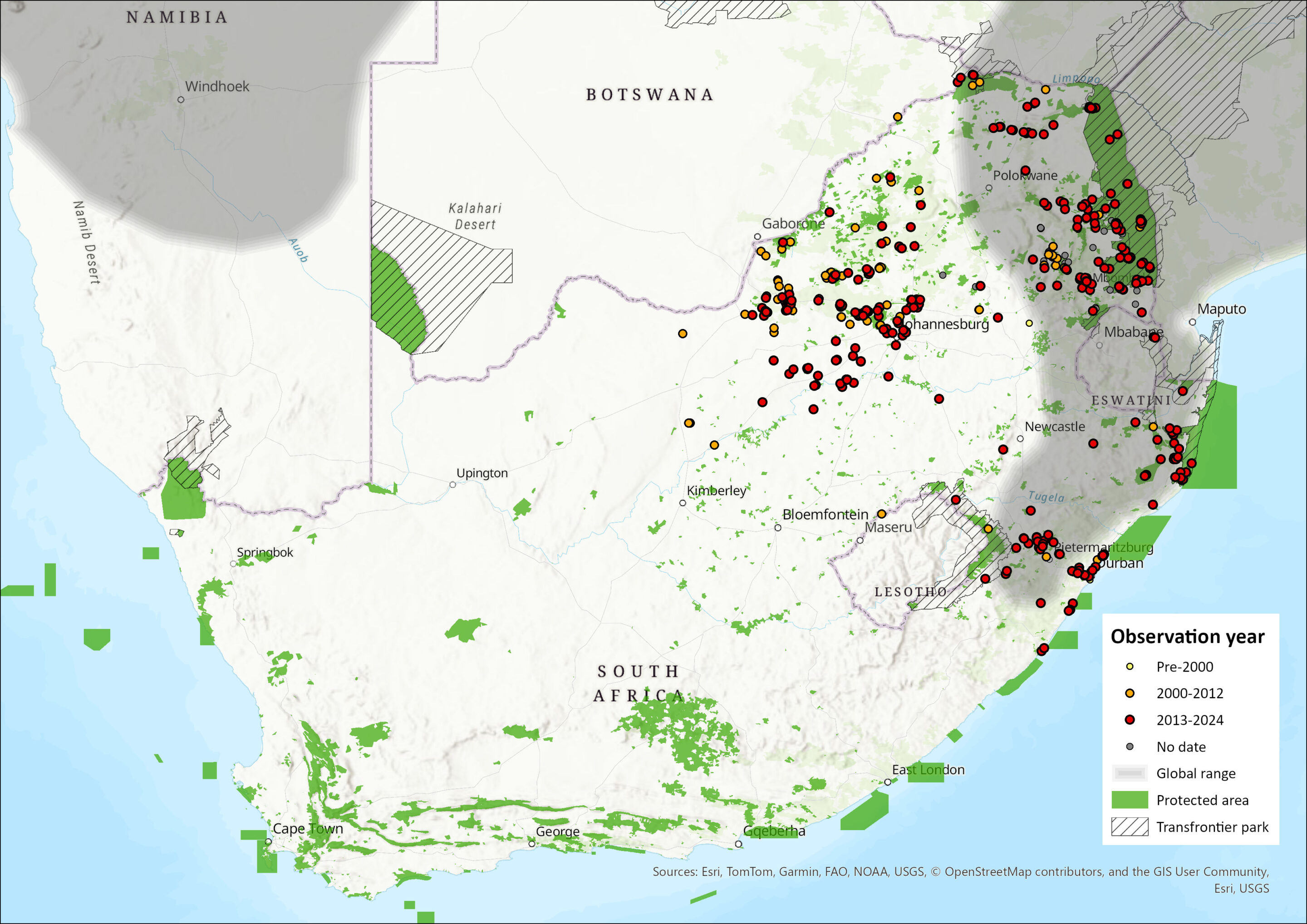 Rusty-spotted Genet Distribution Map
