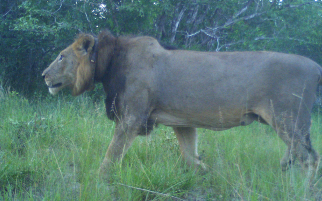 Across borders. Across landscapes. Against the odds.