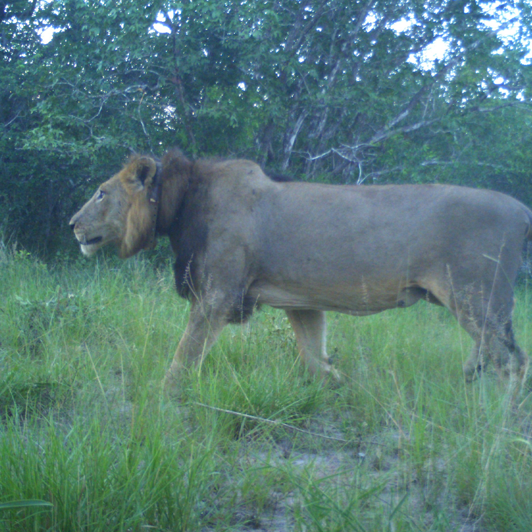 Across borders. Across landscapes. Against the odds.