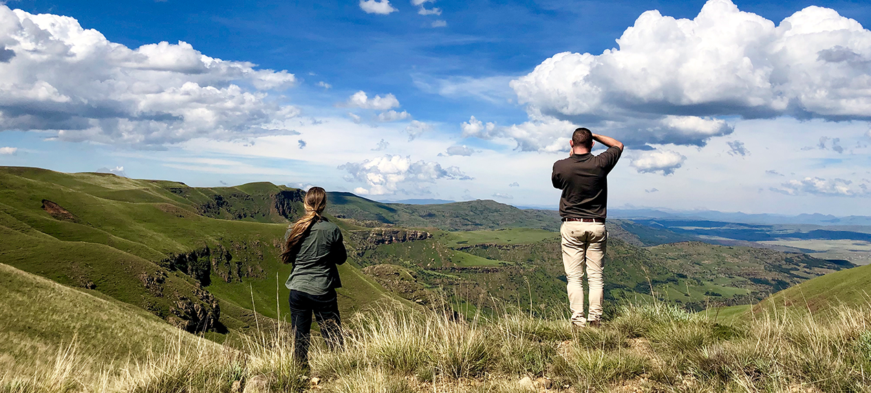 Drakensberg grasslands under sustainable grazing management