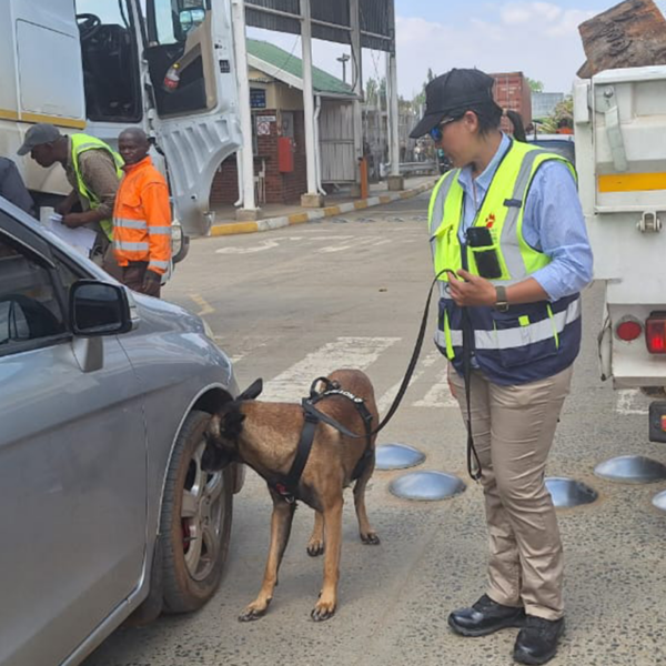 detection dog and handler