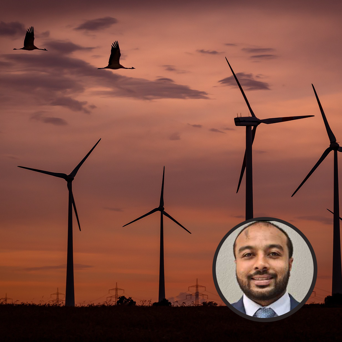 Sustainable use of wildlife in Africa is not the problem, it’s the way the term is exploited