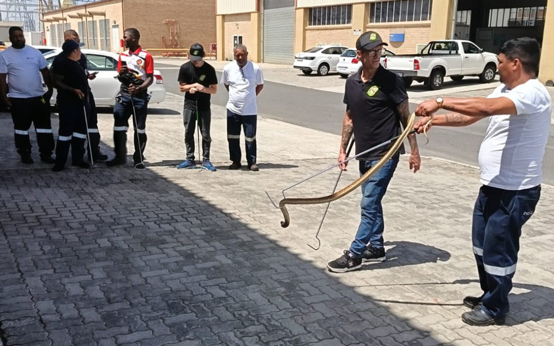 EWT empowers Eskom staff in snake handling