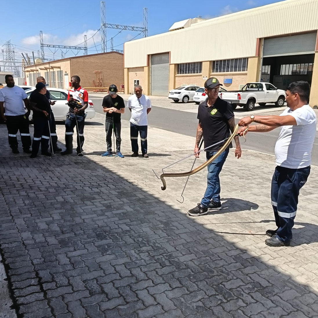 EWT empowers Eskom staff in snake handling