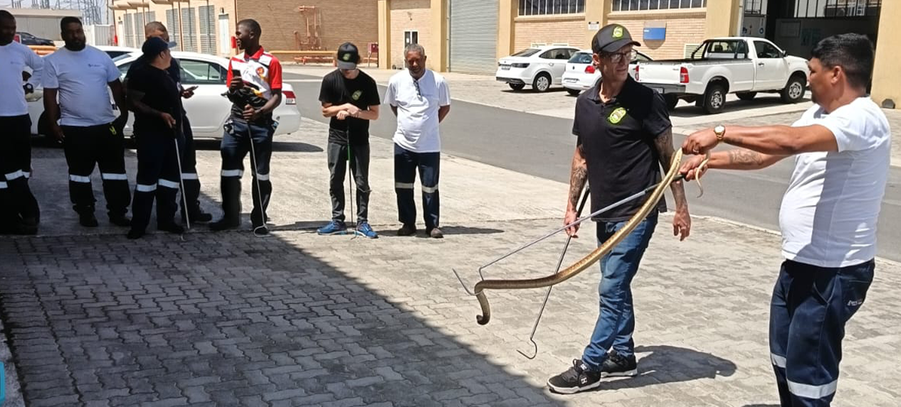 EWT snake handling course field training South Africa