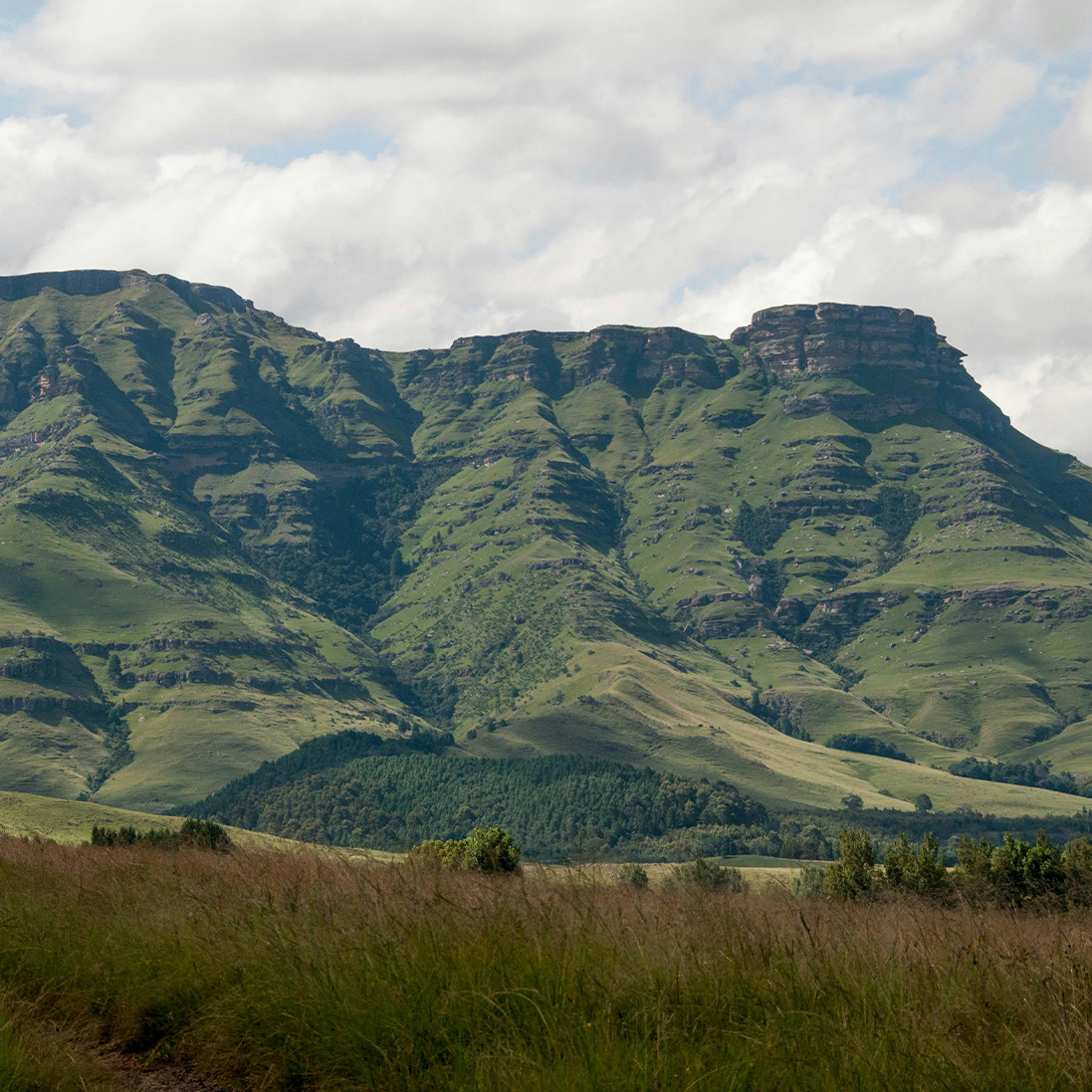 Why the IPBES Business and Biodiversity Assessment Matters