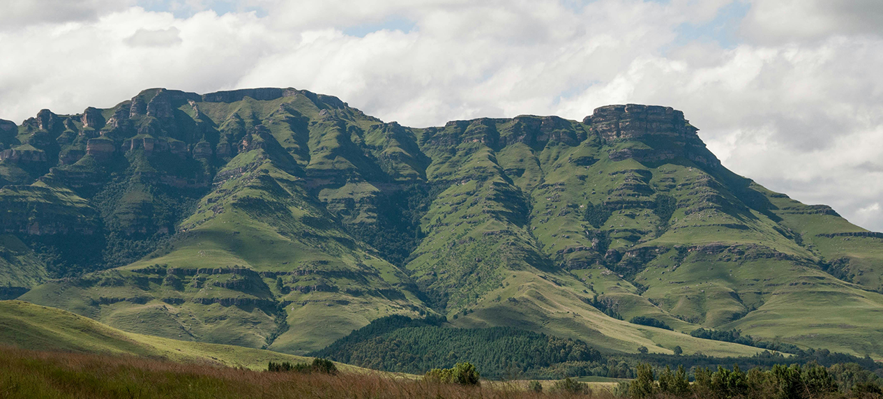 natural ecosystem supporting economic activity