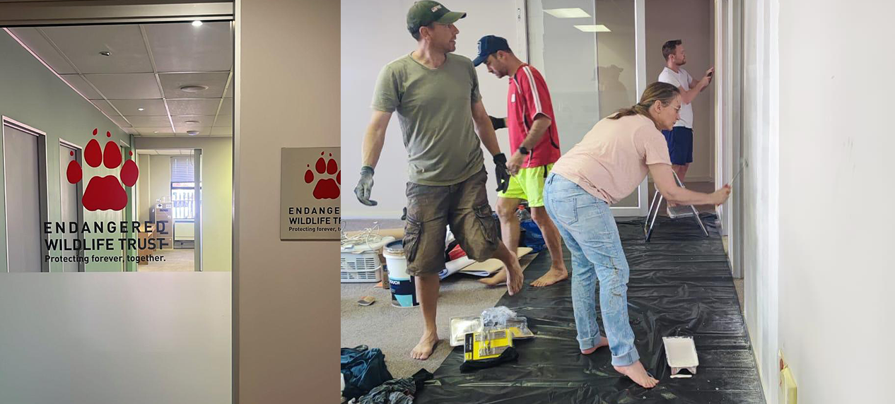 Endangered Wildlife Trust Cape Town office interior setup