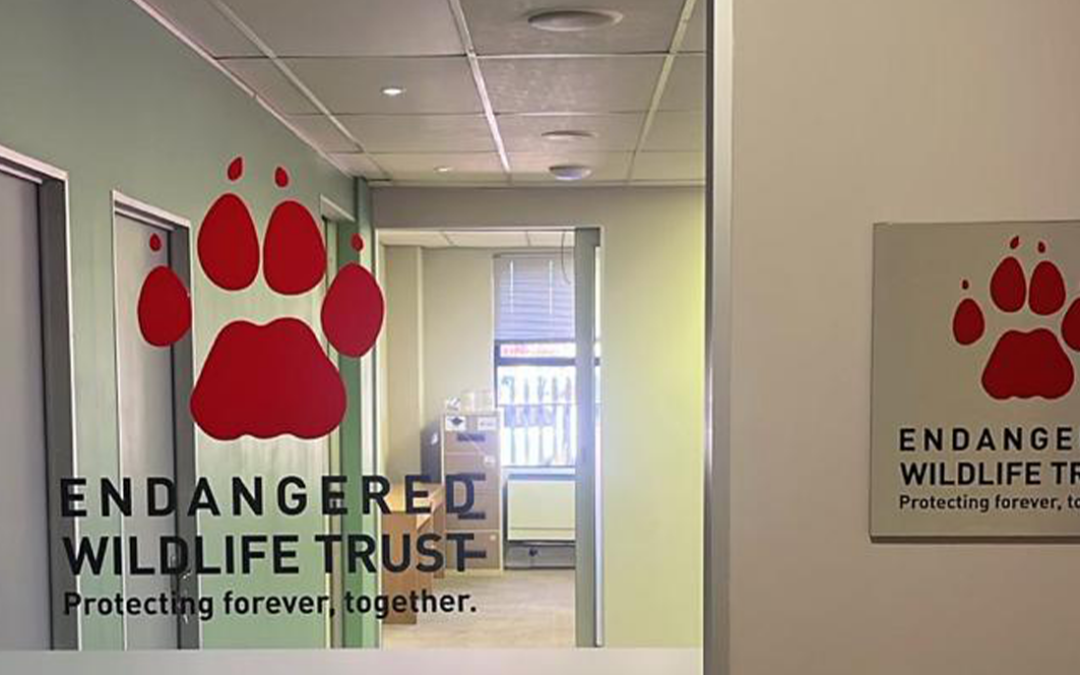 New Cape Town office for the Endangered Wildlife Trust