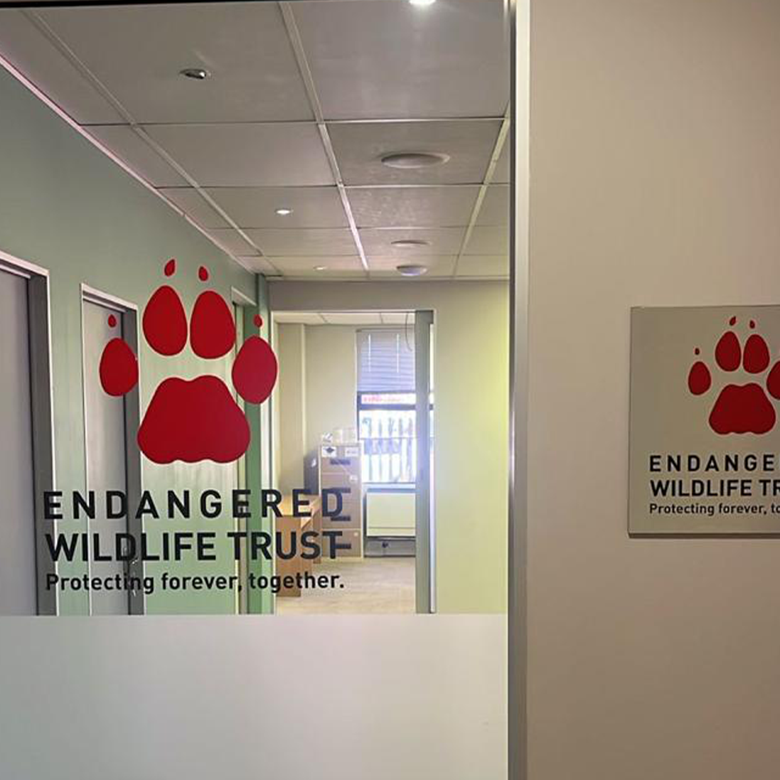 New Cape Town office for the Endangered Wildlife Trust