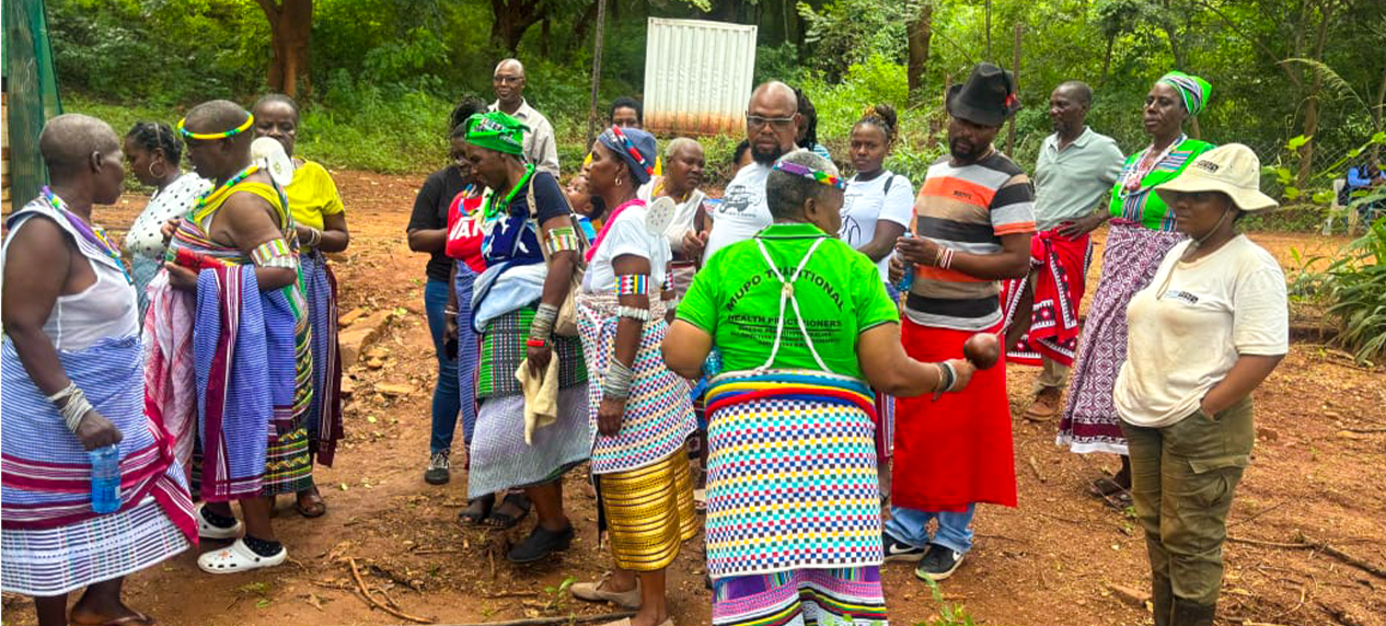 indigenous knowledge medicinal plants Africa