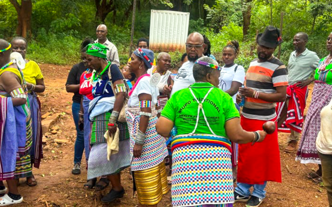 Celebrating Africa’s Medicinal Plant Heritage