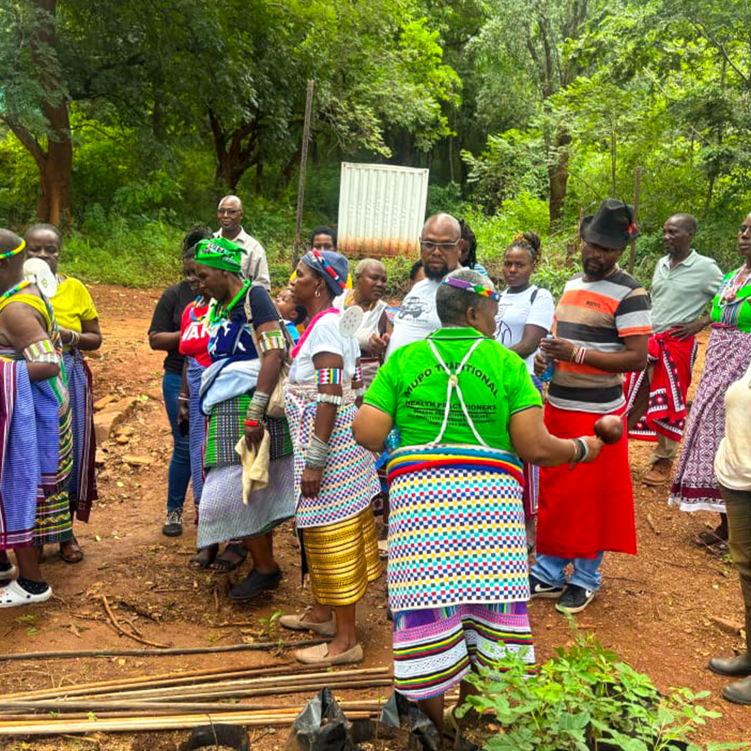 Celebrating Africa’s Medicinal Plant Heritage
