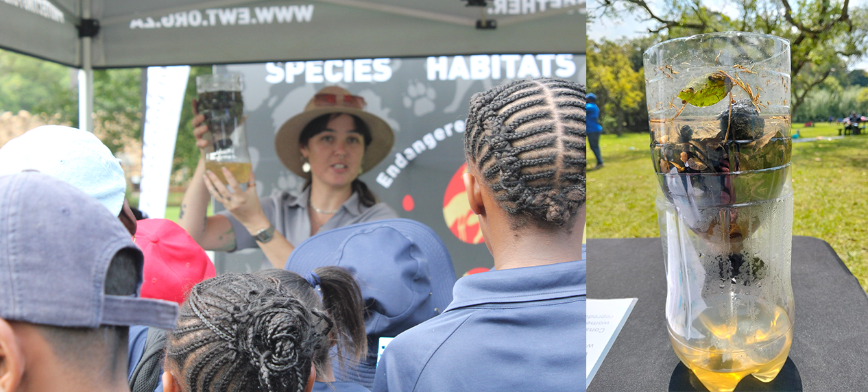 DIY water filtration experiment learners South Africa