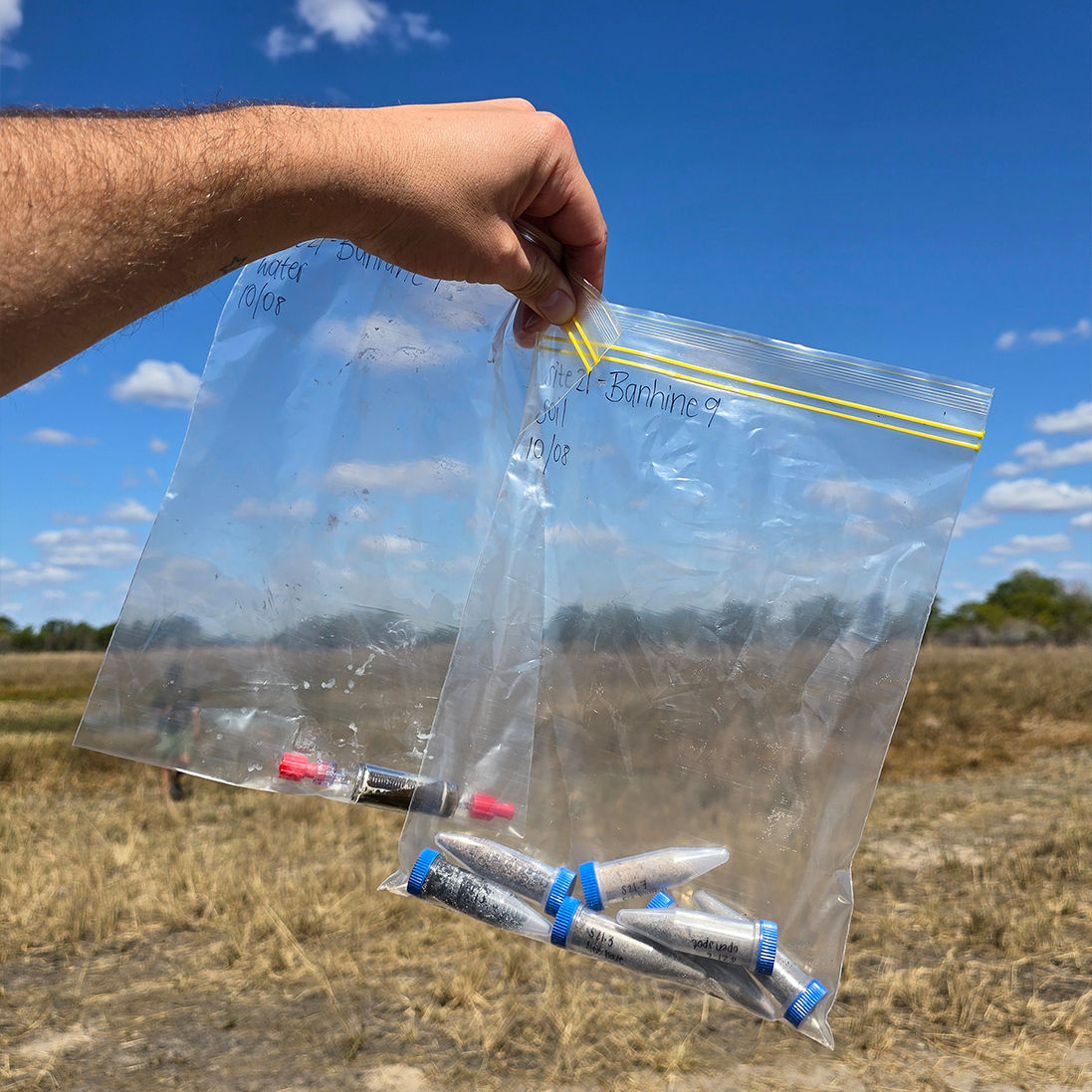 The Applied Conservation Genetics Unit (ACGU) – a collab between the Endangered Wildlife Trust and Stellenbosch University