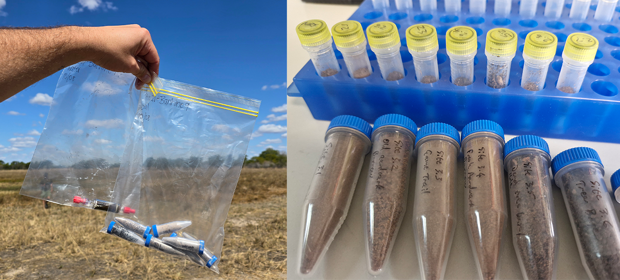 environmental DNA conservation Africa field sampling soil collection