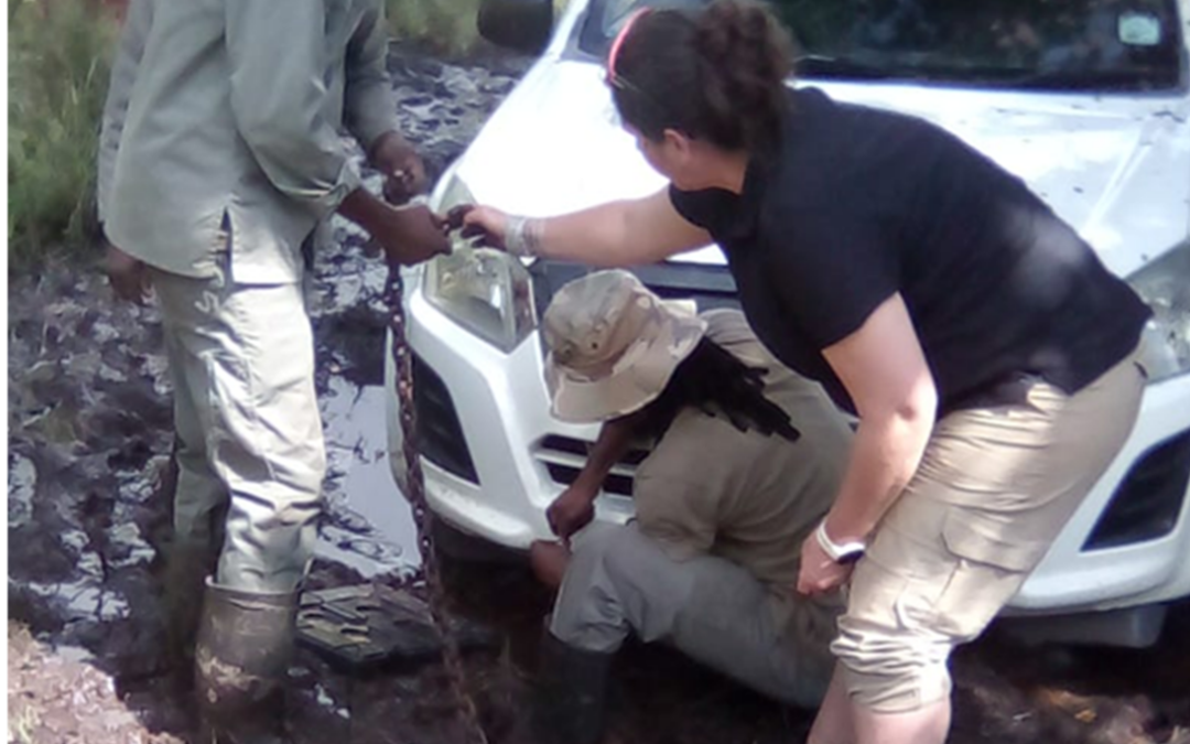 Rooted in resilience: Mud, muscle and making plans.