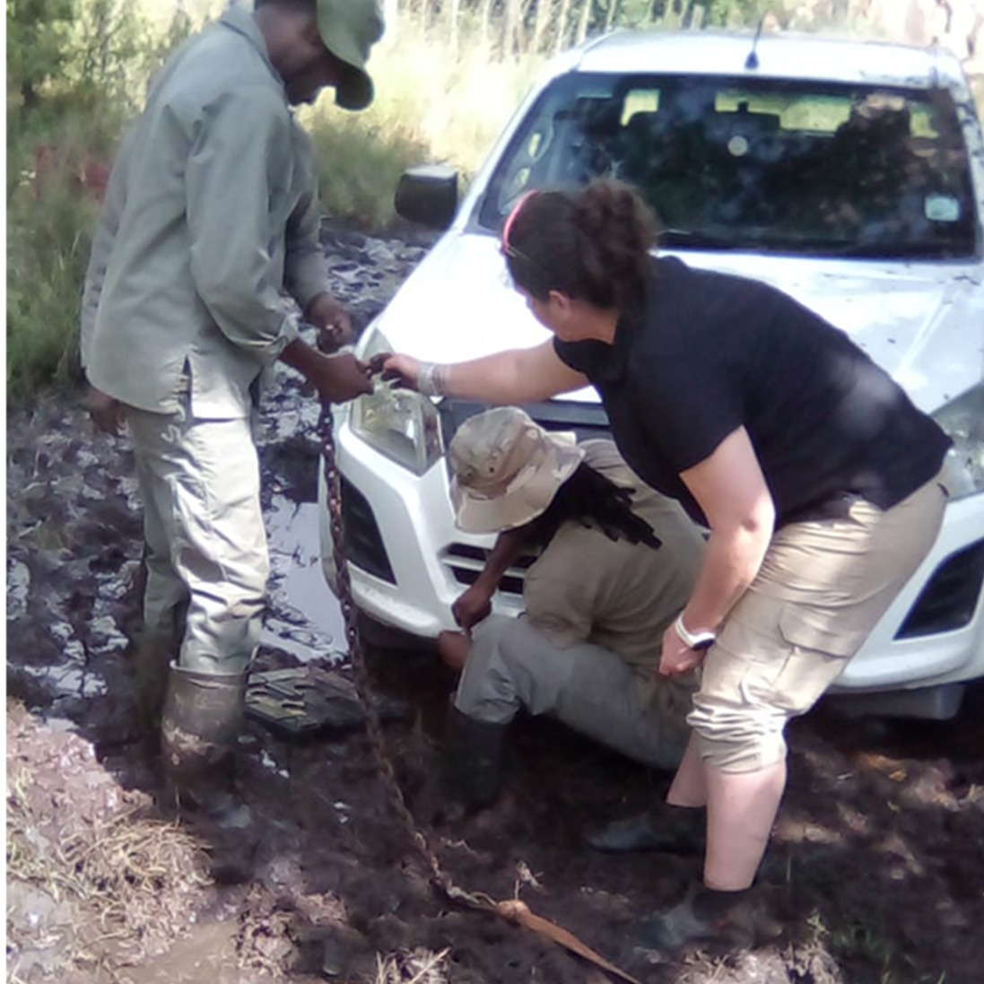 Rooted in resilience: Mud, muscle and making plans.