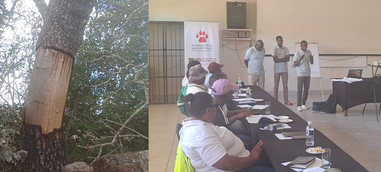 wildlife crime prevention Soutpansberg workshop SAPS conservation teams