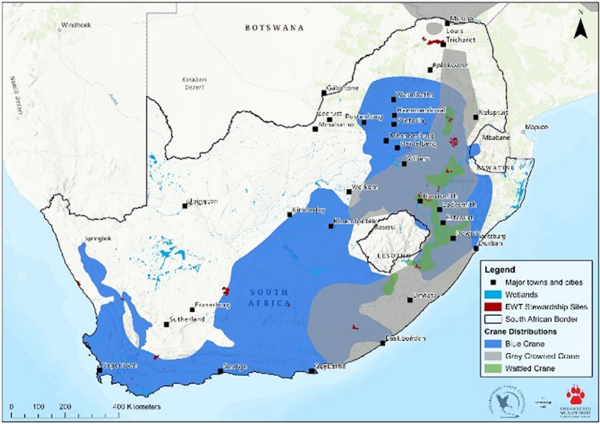 Mapping crane range shifts in South Africa