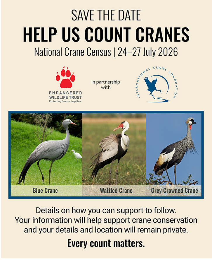Collaborative crane conservation research partnerships