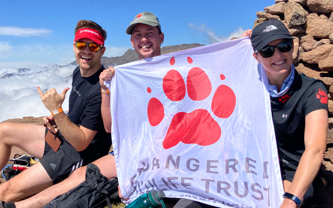 Run and Climb for Wildlife