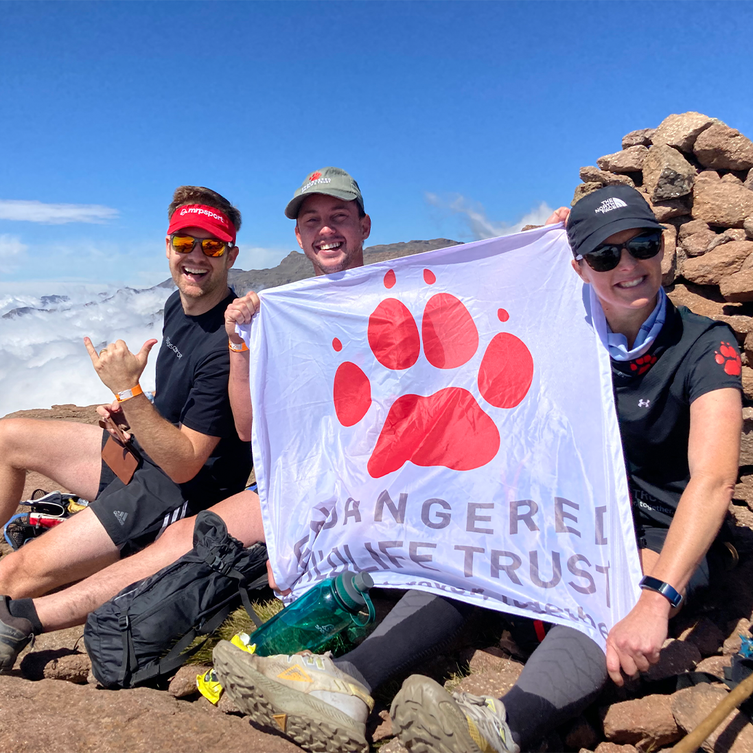 Run and Climb for Wildlife
